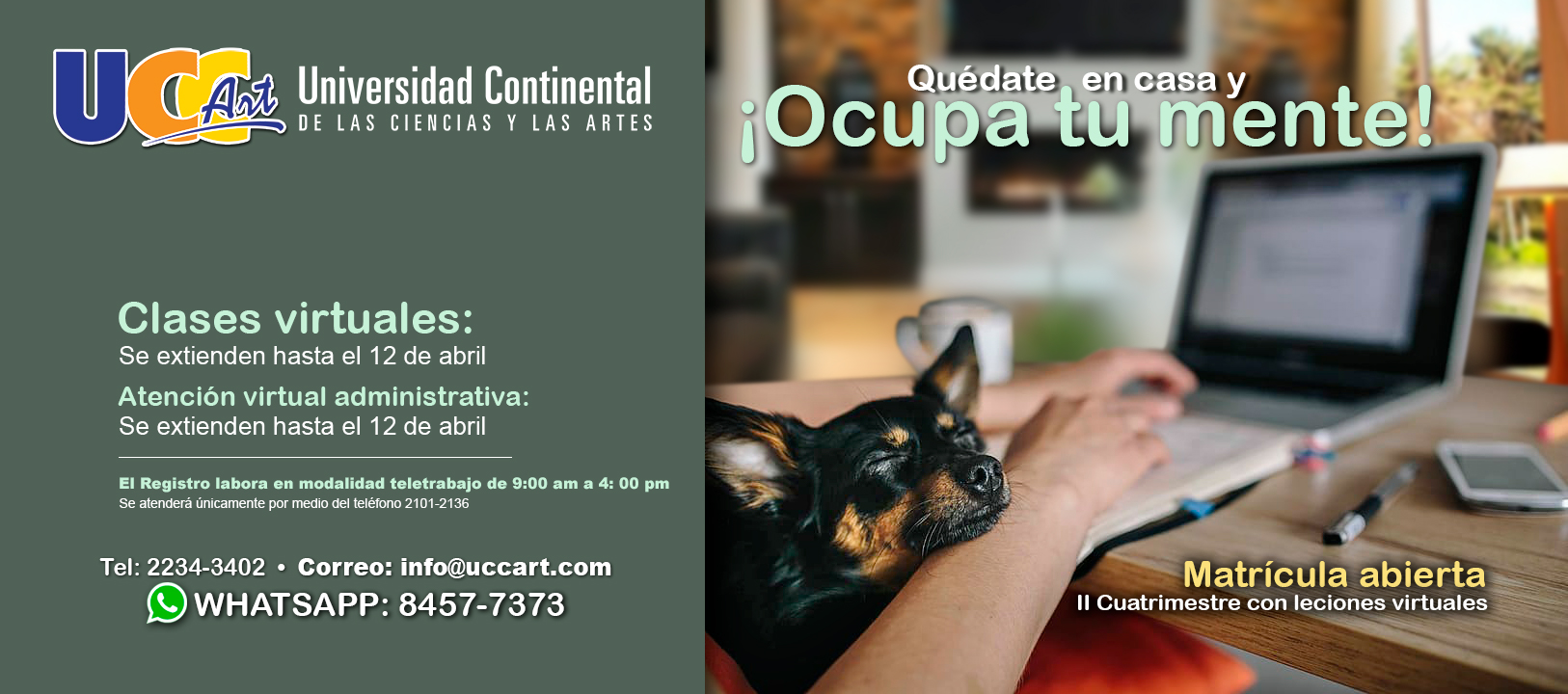 Odoo CMS - una imagen grande